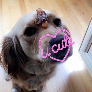 Meet your Posher, May